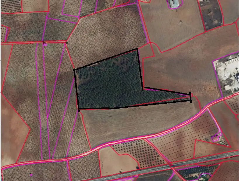 Finca Rústica en Valdepeñas, Carretera Infantes en Valdepeñas